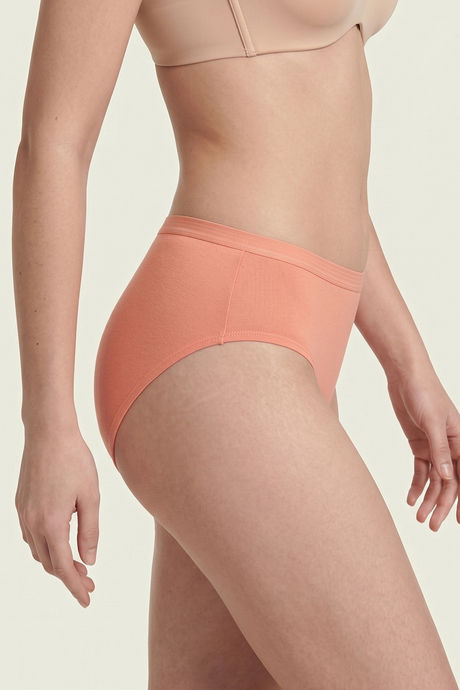 Zivame Regular Rise Full Coverage Hipster Panty (Pack of 3) - Multicolor — image 3